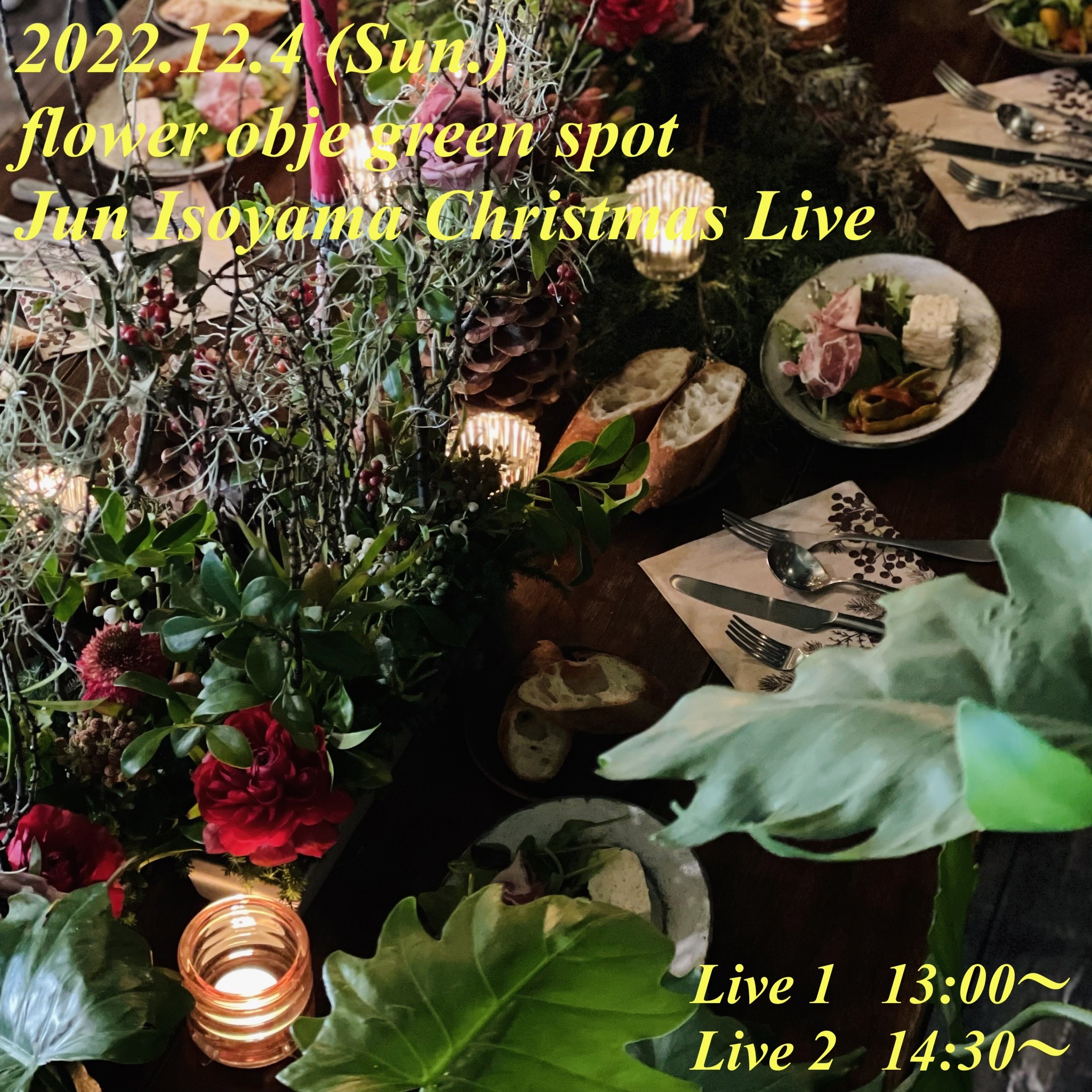 S__198623287.jpg (1.03 MB)